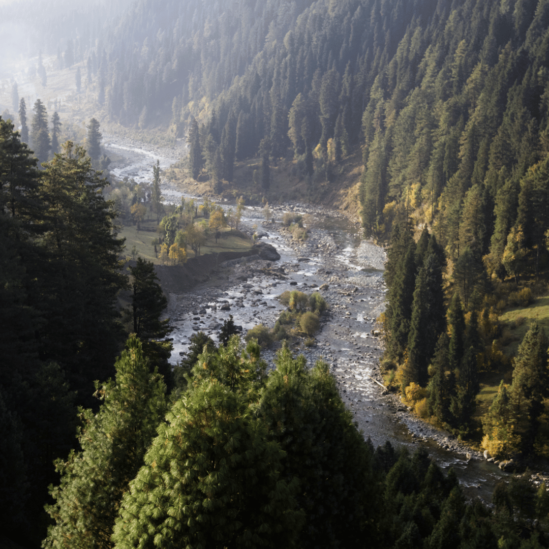 2 Nights 3 Days Srinagar - Gulmarg Tour
